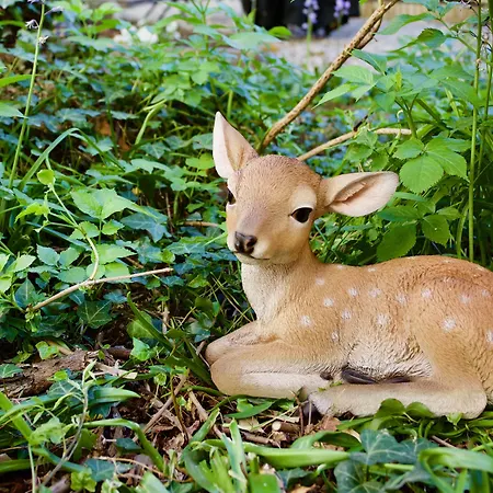 오스텔로 벨로 레이크 * 코모