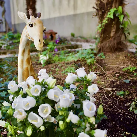 科莫湖贝洛旅舍 *