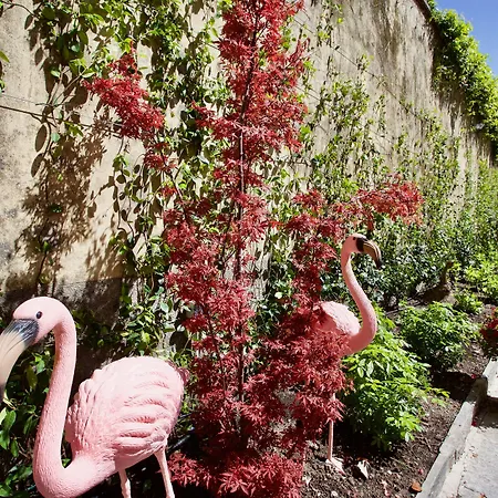 Ostello Bello Lake Como * Como