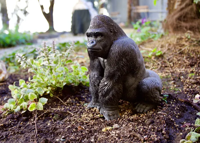 Ostello Bello Lake Como Хостел Комо