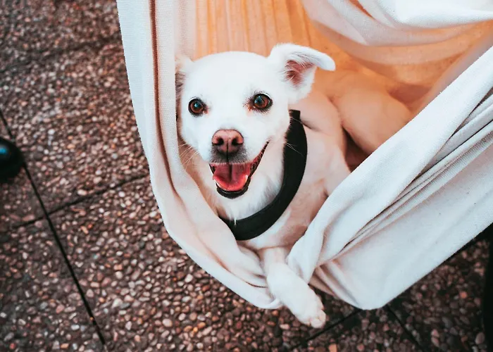 Ostello Bello Lake Como Albergue Como